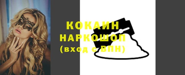 индика Каменск-Шахтинский