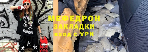 индика Каменка
