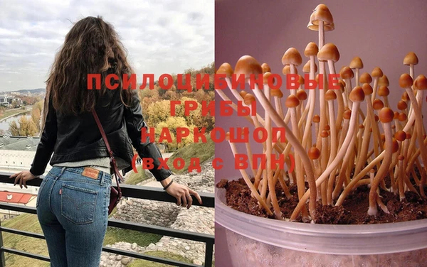 COCAINE Карпинск
